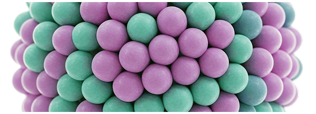 Encapsulation